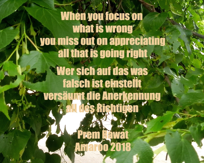  When you focus on what is wrong, you miss out on appreciating all that is going right (Wer sich auf das was falsch ist einstellt versäumt die Anerkennung all dessen das richtig ist) - Prem Rawat, Amaroo 2018 Series, Episode 6 